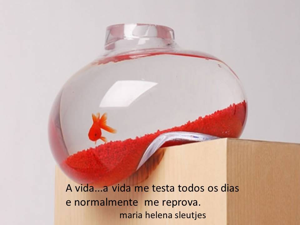 Vida
